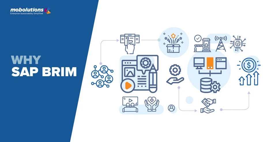 SAP BRIM And Empowers You To Monetize Your Subscription based Billing